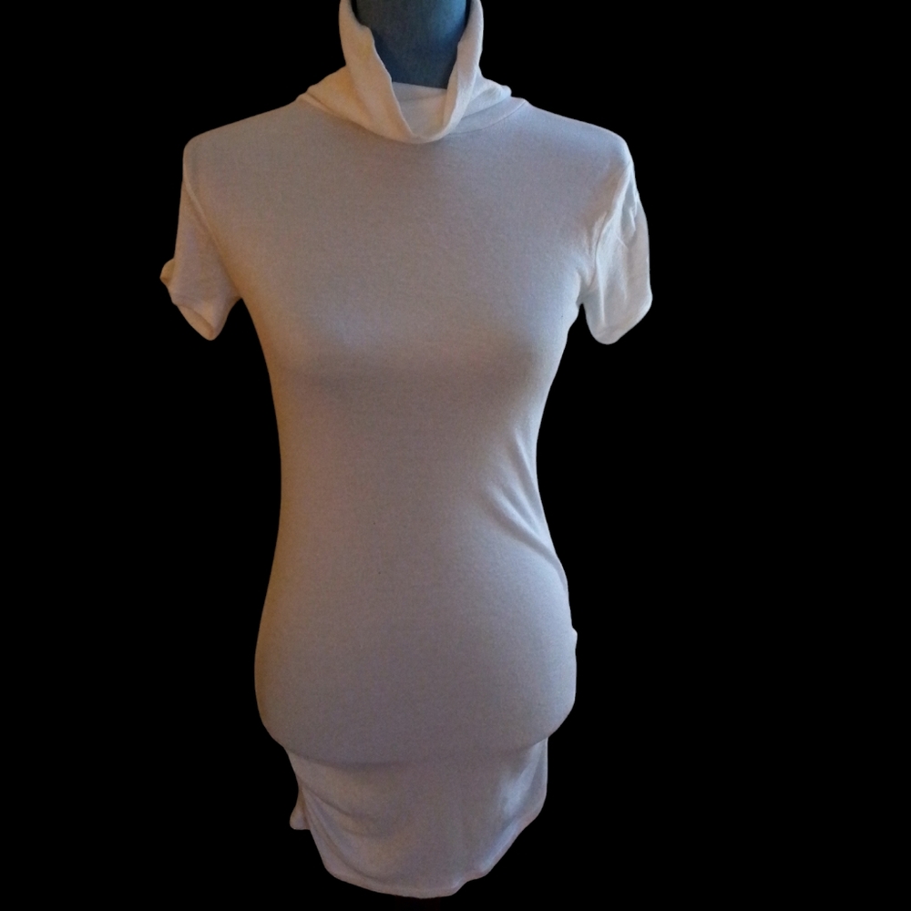 Michael Stars Extra Long Turtleneck Tee